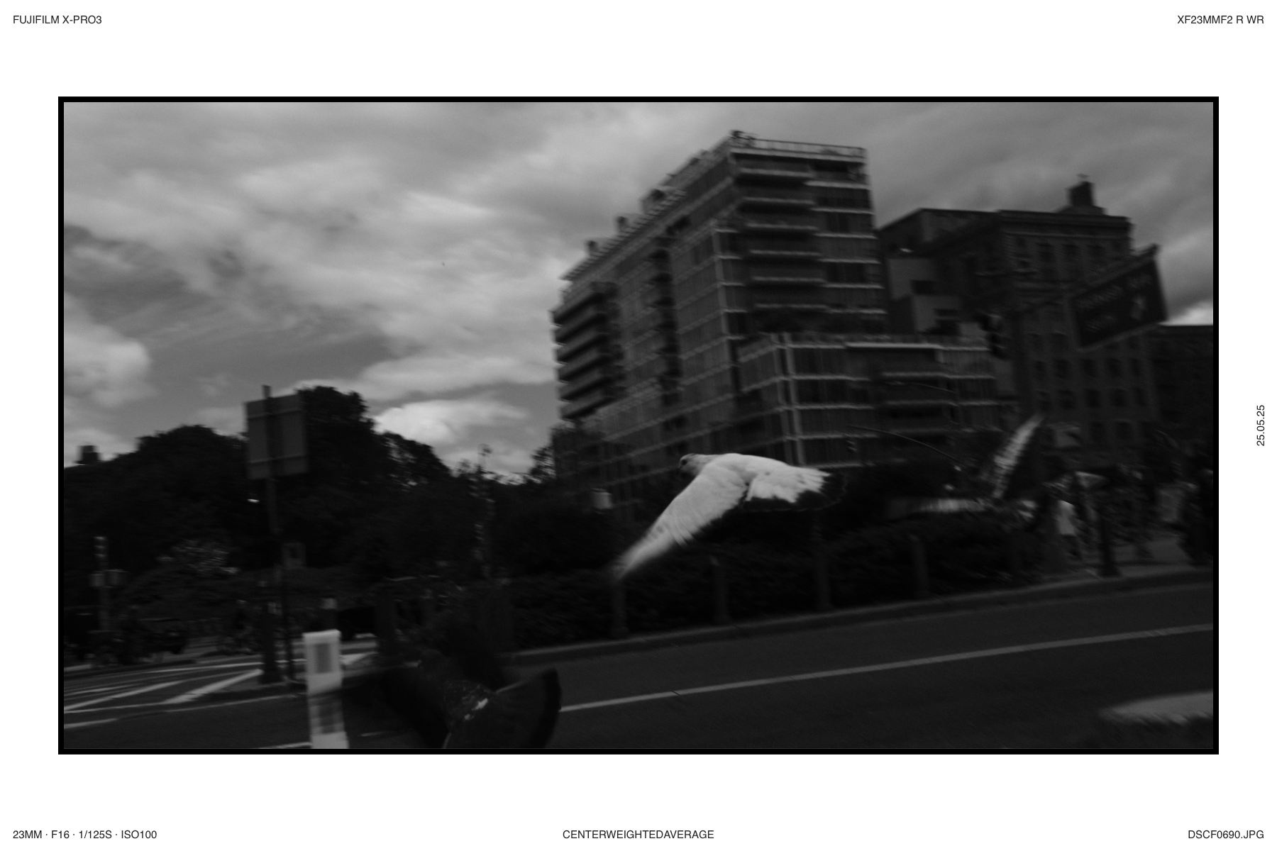EXIF Print Output - Landscape